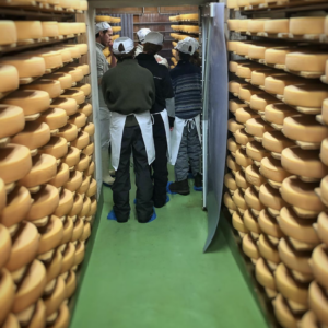 Make Your Own Tomme | Artisan Cheese-Making Experience in Verbier