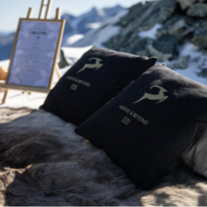 Verbier Essential Concierge Pre Arrival Package