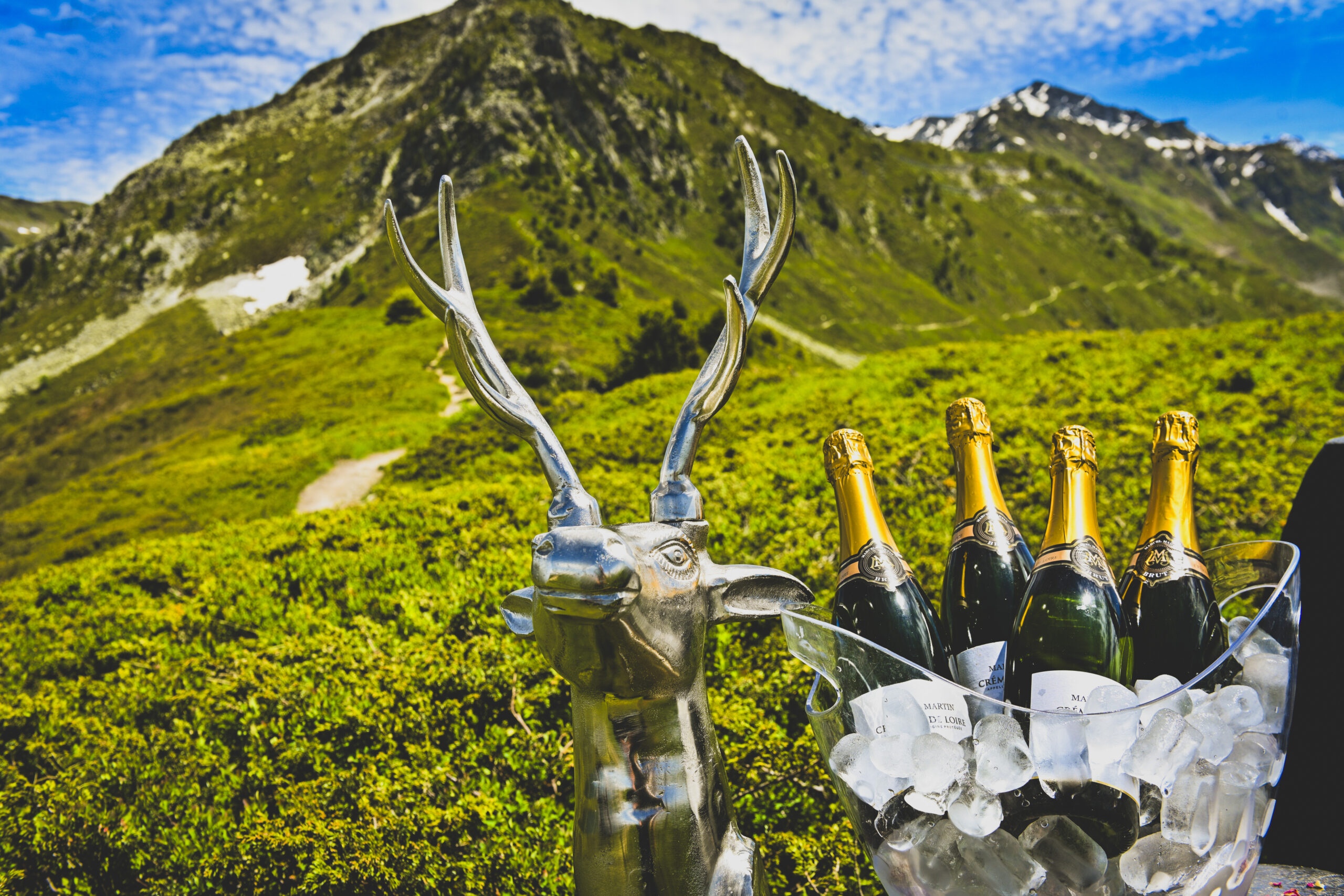 Summer champagne picnic in verbier valais switzerland