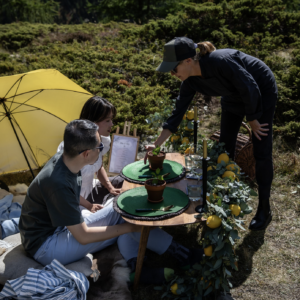 Summer Peak Picnic in Verbier