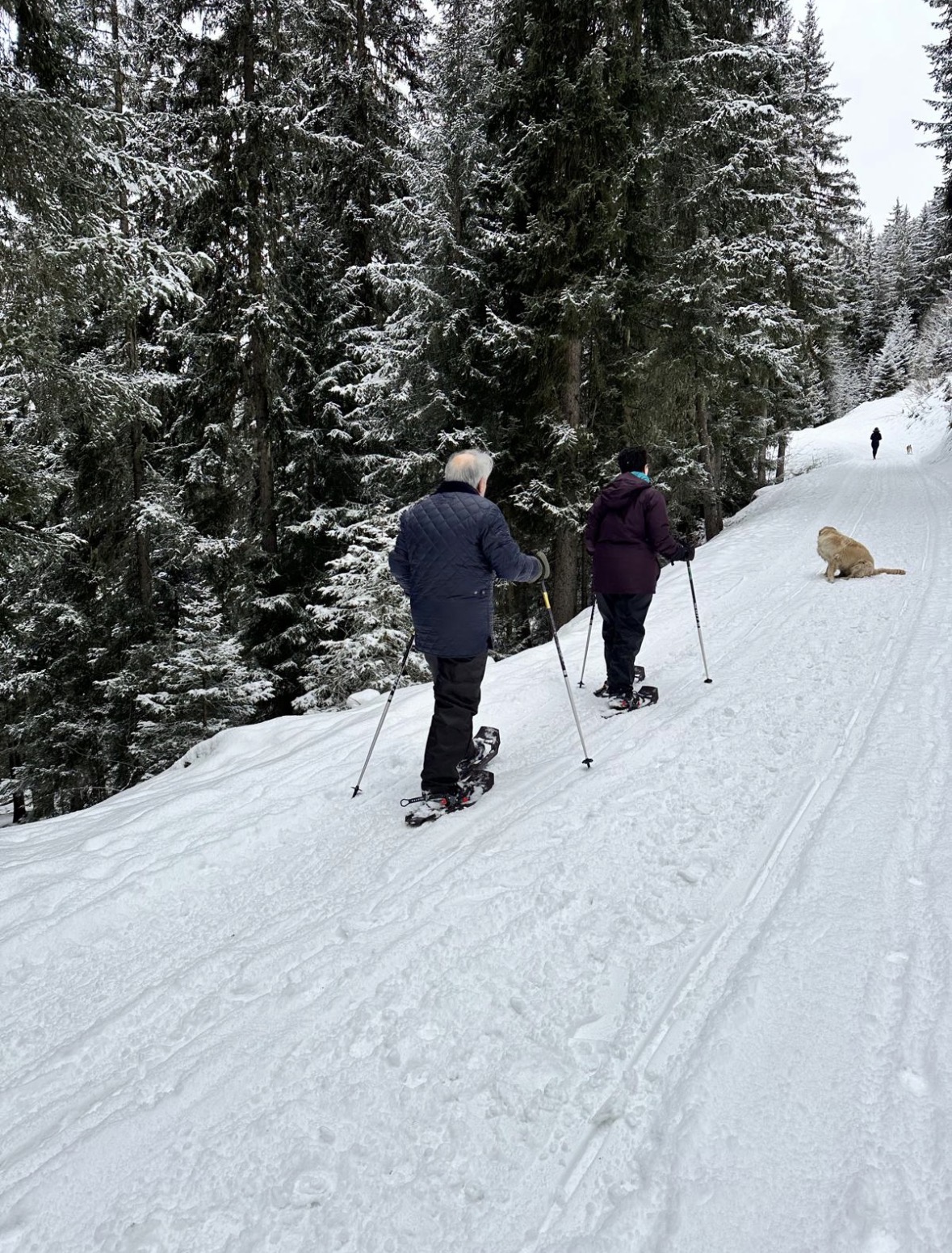 showshoeing in verbier