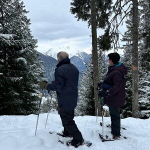 2-3 Hour Snowshoe Hike in Verbier