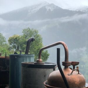 Wellness Experiences & Days